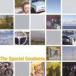͢ SPECIAL GOODNESS / LAND AIR SEA [CD]