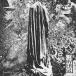 ͢ CONVERGE / DUSK IN US [CD]