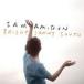  зарубежная запись SAM AMIDON / BRIGHT SUNNY SOUTH [CD]
