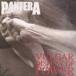 ͢ PANTERA / VULGAR DISPLAY OF POWER [CD]
