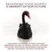 ͢ MANDOKI SOULMATES / MEMORY OF OUR FUTURE [CD]