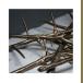 ͢���� AMENRA / DE DOORN [CD]