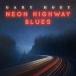  зарубежная запись GARY HOEY / NEON HIGHWAY BLUES [LP]