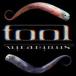  зарубежная запись TOOL / VICARIOUS (DVD SINGLE) [DVD]