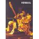  зарубежная запись JIMI HENDRIX / LIVE AT THE FILLMORE EAST [DVD]