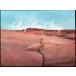  зарубежная запись MARGO PRICE / STRAYS [CD]