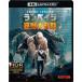  Ran peiji.. большой ..<4K ULTRA HD& Blue-ray комплект > [Ultra HD Blu-ray]