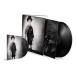  зарубежная запись JOE HENRY / ALL THE EYE CAN SEE [CD]