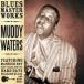 зарубежная запись MUDDY WATERS / BLUES MASTERWORKS [CD]