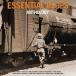  зарубежная запись VARIOUS / ESSENTIAL BLUES ANTHOLOGY [2LP]