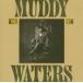  зарубежная запись MUDDY WATERS / KING BEE + 2 [CD]