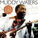  зарубежная запись MUDDY WATERS / R & B HITS [LP]