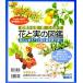  цветок . реальный. иллюстрированная книга все 8 шт . близко . дерево 194 вид 