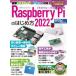 Raspberry Pi. впервые person 2022