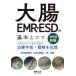  большой .EMR*ESD. основы .kotsu Expert если ... терапия рука .* стратегия ...