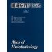  организация болезнь . Atlas 