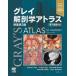  серый анатомия Atlas 