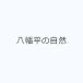  Hachiman flat. природа 