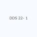 DDS 22- 1