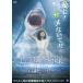  Rav * Shark сердце . исследование большой summer [DVD]