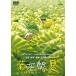 . следующий .. лето [DVD]