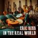  Eric * bib / in * The * настоящий * world [CD]
