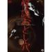  история с привидениями . считая дыра [DVD]