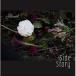  aerial / Side Story [CD]