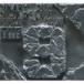 DINARY DELTA FORCE / THE 9 [CD]