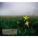 LUSRICA / MARVELOUS NOTES [CD]