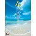 ...-. Okinawa *. старый остров [DVD]