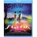 chi gold . слива ~ есть скрипка .., последний. сон ~ [Blu-ray]