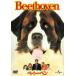  беж to- Ben [DVD]