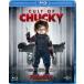  детский * Play ~ коричневый  ключ. безумие болезнь .~ [Blu-ray]