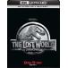  Lost * world |ju lachic * park [4K ULTRA HD+Blu-ray комплект ] [Ultra HD Blu-ray]