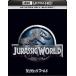ju lachic * world [4K ULTRA HD+Blu-ray комплект ] [Ultra HD Blu-ray]