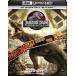 ju lachic * park 4 Movie * коллекция [4K ULTRA HD+Blu-ray комплект ] [Ultra HD Blu-ray]
