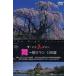  The * высокий прекрасный John Mai Sakura роман 100 выбор [DVD]