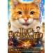  Elf . тайна . кошка [DVD]