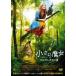 маленький . женщина .waru тянуть gis. ночь [DVD]