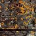 MONOLAKE / STUDIO [CD]