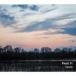 Float11 / Roots [CD]