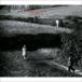 HmP5v / QUIET MAJORITY [CD]