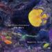 Negative Selection / сторона .. улица из -From the Town of Entanglement- [CD]