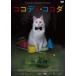 ko Cody * здесь da[DVD]