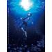AYAKA -䤫- Blu-ray BOX 崬ڴָǡ [Blu-ray]
