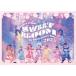 SWEET STEADY��1st LIVE FILM at Zepp Haneda SWEET STEADY 1st ANNIVERSARY TOUR 2025��SWEET BLOOM�� [DVD]