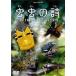 ����λ� RAINFOREST STORY [DVD]