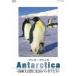 Antarctica~ юг высшее * большой природа . сырой .. пингвин ..~ [DVD]
