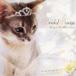  свадебный songs* музыкальная шкатулка коллекция [CD]